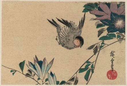 Utagawa Hiroshige: Passion Vine and Sparrow - Museum of Fine Arts