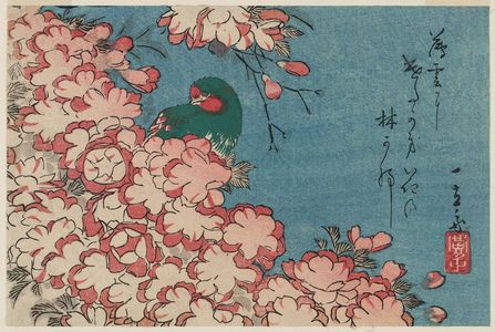 Utagawa Hiroshige: Double Cherry Blossoms and Green Bird - Museum of Fine Arts