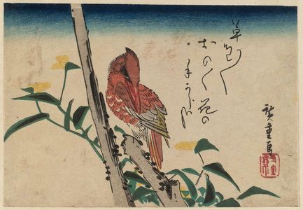 Utagawa Hiroshige: Kingfisher and Dayflower - Museum of Fine Arts