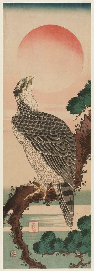 Katsushika Hokusai: Falcon and Sun - Museum of Fine Arts