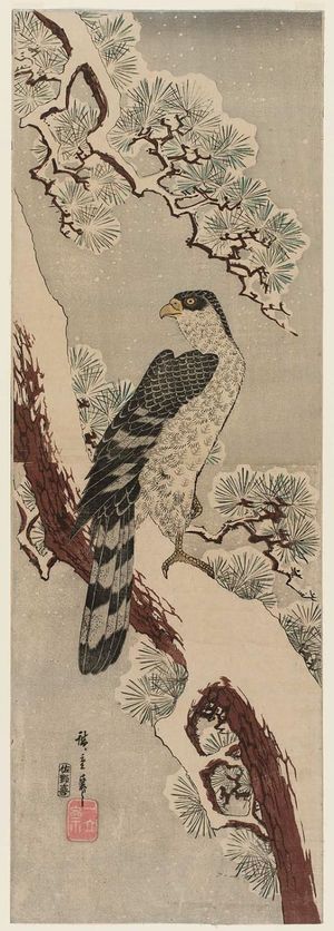 歌川広重: Falcon on Snow-covered Pine - ボストン美術館