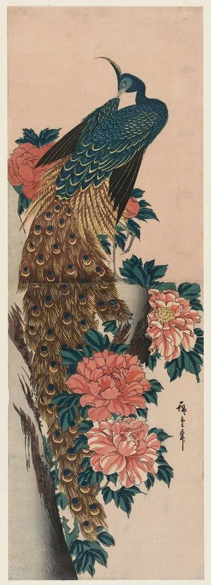 Utagawa Hiroshige: Peacock and Peonies - Museum of Fine Arts