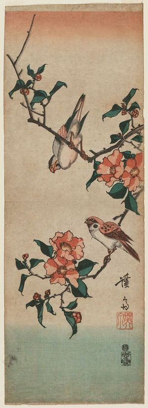 渓斉英泉: Finches on Camellia Branch - ボストン美術館