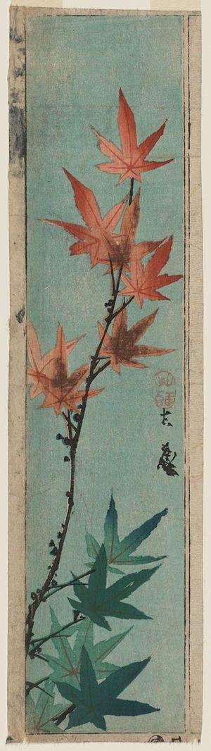 Katsushika Taito II: Maple Leaves - ボストン美術館