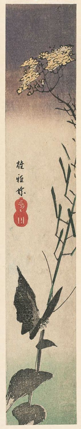 Utagawa Hiroshige: Butterfly and Canola Flower, cut from an unidentified harimaze sheet - Museum of Fine Arts