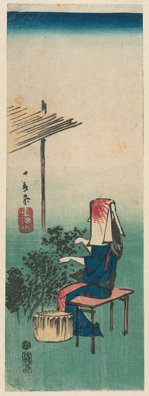 Utagawa Hiroshige: Woman Picking Tea, cut from an unidentified harimaze sheet - Museum of Fine Arts