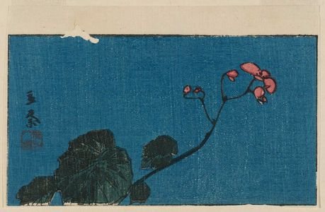 日本版画 "Begonia, cut from an untitled harimaze sheet" 由 Utagawa Hiroshige, 歌川広重 (Utagawa Hiroshige I) 创作