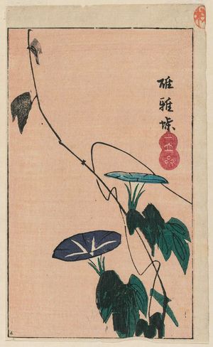 Utagawa Hiroshige: Morning Glory, cut from an unititled harimaze sheet - Museum of Fine Arts
