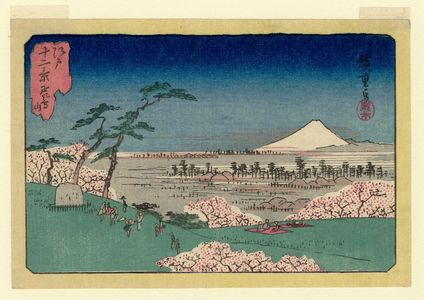 歌川広重: Asuka Hill (Asukayama), from the series Twelve Views of Edo (Edo jûni kei) - ボストン美術館