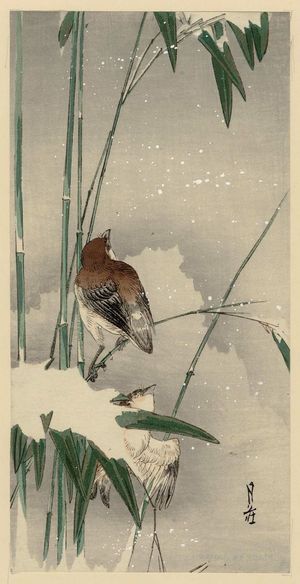 Yoshimoto Gessô: Sparrows and Bamboo in Snow - Museum of Fine Arts