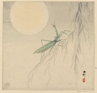 小原古邨: Praying mantis and moon - ボストン美術館