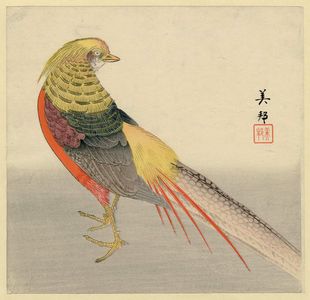 Toyokawa Yoshikuni: Golden Pheasant - Museum of Fine Arts
