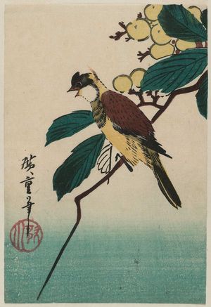 Utagawa Hiroshige: Bird on Loquat Branch - Museum of Fine Arts