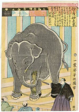 Utagawa Yoshikata: Elephant Brought by Ship from India (Indo senrai zô) - Museum of Fine Arts