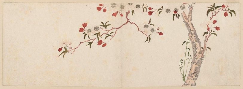 Utagawa Hiroshige: Cherry Tree in Bloom - Museum of Fine Arts