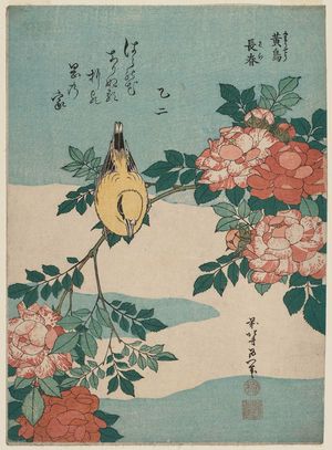葛飾北斎: Warbler and Roses (Kôchô, bara), from an untitled series known as Small Flowers - ボストン美術館