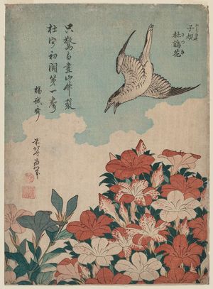 Katsushika Hokusai: Cuckoo and Azaleas (Hototogisu, satsuki), from an untitled series known as Small Flowers - Museum of Fine Arts