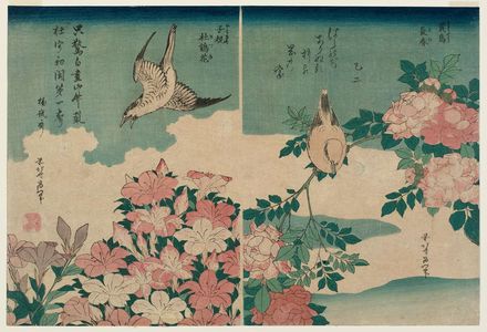 葛飾北斎: Warbler and Roses (Kôchô, bara; right); Cuckoo and Azaleas (Hototogisu, satsuki; left), from an untitled series known as Small Flowers - ボストン美術館