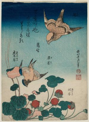 Katsushika Hokusai: Shrike and Bluebird with Begonia and Wild Strawberry (Mozu, ruri, yuki-no-shita, hebi-ichigo), from the untitled series known as Small Flowers - Museum of Fine Arts