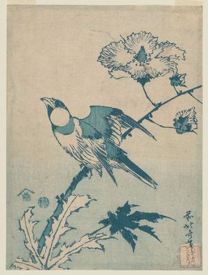 葛飾北斎: Finch on Hibiscus, from an untitled series of blue (aizuri) prints - ボストン美術館