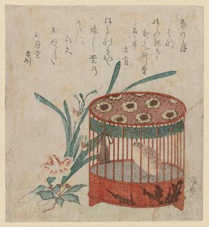 Ryuryukyo Shinsai: Caged Quail, Narcissus, And ? Blossoms - Museum of Fine Arts
