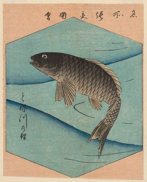 Utagawa Hiroshige: Carp of the Tone River (Tonegawa koi), from the series Cutout Pictures of Famous Places in Edo (Edo meisho harimaze zue) - Museum of Fine Arts