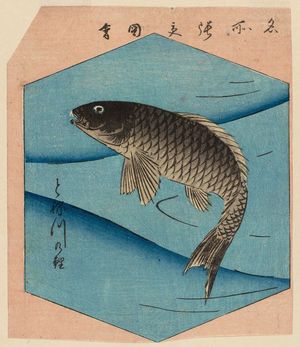 Utagawa Hiroshige: Carp of the Tone River (Tonegawa koi), from the series Cutout Pictures of Famous Places in Edo (Edo meisho harimaze zue) - Museum of Fine Arts