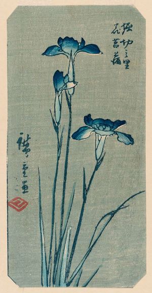 Utagawa Hiroshige: Iris at the Village of Horikiri (Horikiri no sato hanashôbu), from the series Cutout Pictures of Famous Places in Edo (Edo meisho harimaze zue) - Museum of Fine Arts