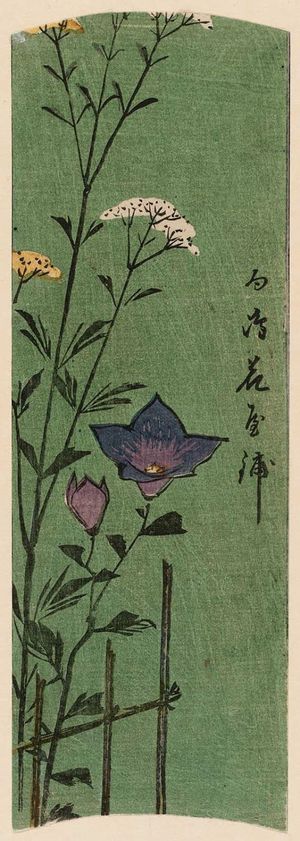 歌川広重: Flower Garden at Mukôjima (Mukôjima hanayashiki), from the series Cutout Pictures of Famous Places in Edo (Edo meisho harimaze zue) - ボストン美術館