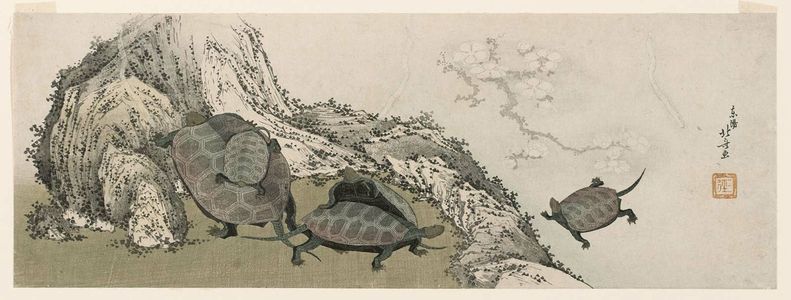 Katsushika Hokusai: Turtles and Reflected Plum Branch - Museum of Fine Arts