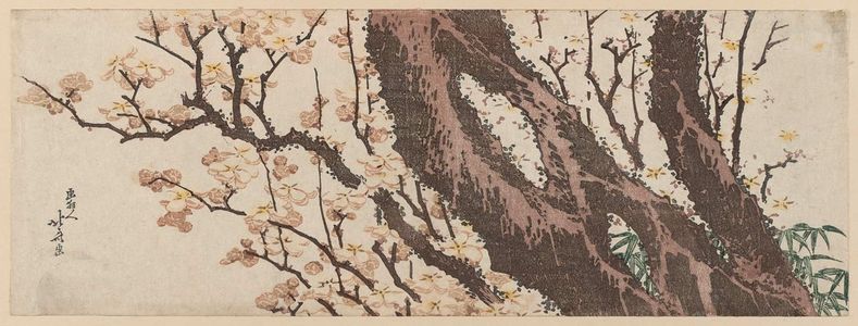 Katsushika Hokusai: Plum Tree and Bamboo Grass - Museum of Fine Arts