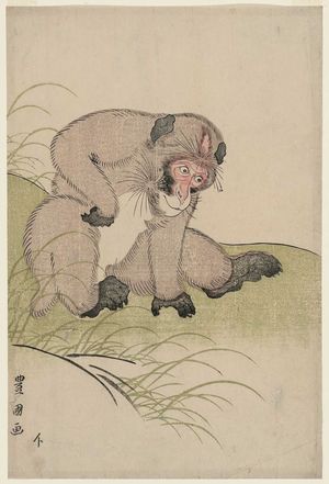 歌川豊国: Monkey - ボストン美術館