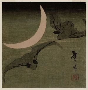 Katsushika Taito II: Bats and Moon - ボストン美術館