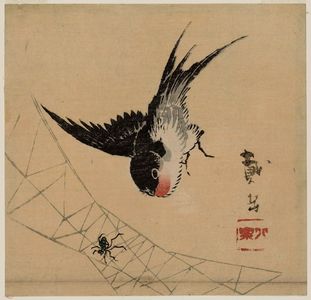 Taigaku: Swallow and Spider - ボストン美術館