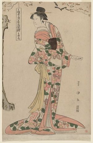 Utagawa Toyokuni I: Otowaya (Actor Onoe Matsusuke as Iwafuji), from the series Portraits of Actors on Stage (Yakusha butai no sugata-e) - Museum of Fine Arts