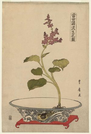 Utagawa Toyohiro: Mizu-aoi in Bowl with Carp Design, from the series Flower Arrangements by Various Modern Schools (Tôsei shoryû ikebana zu) - Museum of Fine Arts