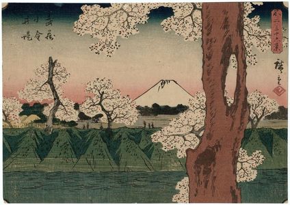 歌川広重: The Embankment at Koganei in Musashi Province (Musashi Koganei tsutsumi), from the series Thirty-six Views of Mount Fuji (Fuji sanjûrokkei) - ボストン美術館