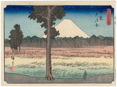 Utagawa Hiroshige: Ôtsuki Plain in Kai Province (Kai Ôtsukihara), from the series Thirty-six Views of Mount Fuji (Fuji sanjûrokkei) - Museum of Fine Arts