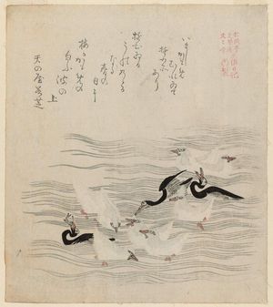 窪俊満: Cormorants and Seagulls, from the series The Tosa Diary for Shôfûdai, Hisakataya and Bunbunsha (Shôfûdai Hisakataya Bunbunsha Tosa nikki) - ボストン美術館