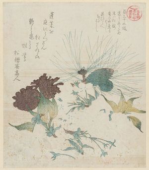 窪俊満: Flowers and Pine Branch, from the series Asakusagawa Tsurezuregusa - ボストン美術館