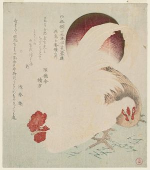 Kubo Shunman: Cock, Hen and Rising Sun, from the series Series of Seven Bird-and-Flower Prints for the Fuyô Circle of Kanuma in Shimotsuke Province (Yamagawa Shimotsuke Kanuma Fuyô-ren kachô nana bantsuzuki no uchi) - Museum of Fine Arts