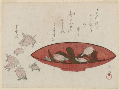 Kikugawa Eizan: Turtles and a Sake Cup - Museum of Fine Arts
