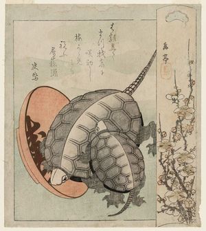 Yashima Gakutei: Turtles and a Sake Cup with Plum Blossoms - Museum of Fine Arts