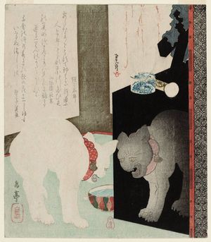 Yashima Gakutei: White Cat Hissing at Its Reflection in a Black Lacquer Mirror Stand - Museum of Fine Arts