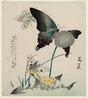 谷文晁: Dandelions and Butterflies - ボストン美術館