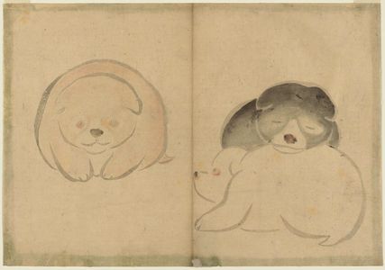 Nakamura Hochu: Puppies, from the album Kôrin gafu (An Album of Pictures by Kôrin) - Museum of Fine Arts
