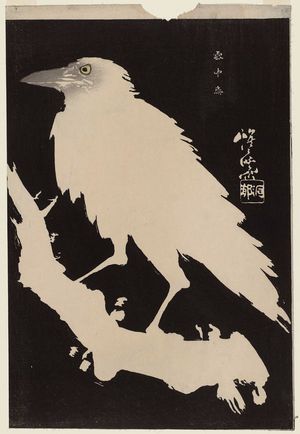 河鍋暁斎: Crow in Snow (Settchû karasu) - ボストン美術館