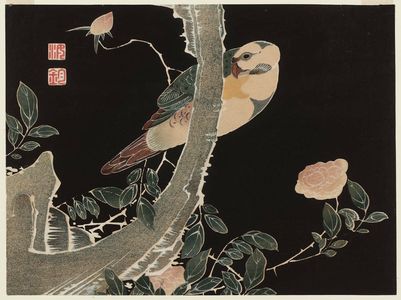 Jakuchu: Rose and Parrot. - Museum of Fine Arts