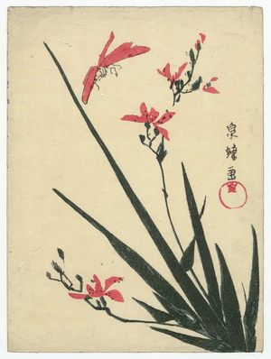 Teisai Senchô: Dragonfly and Orchids - Museum of Fine Arts