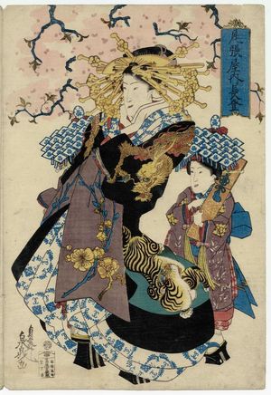 Teisai Senchô: Nagato of the Owariya, from an untitled series of courtesans under cherry blossoms - ボストン美術館